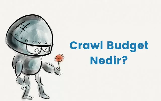 crawl budget nedir