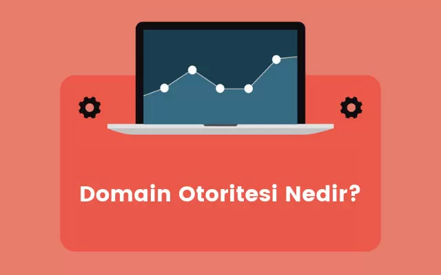 domain otoritesi nedir