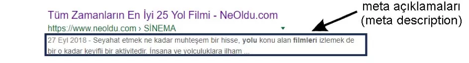 meta aciklamasi ornegi