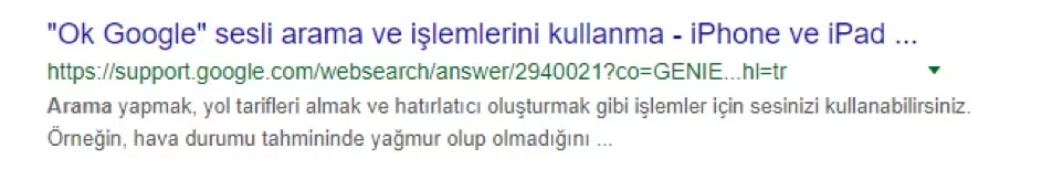 normal rich snippet ornegi