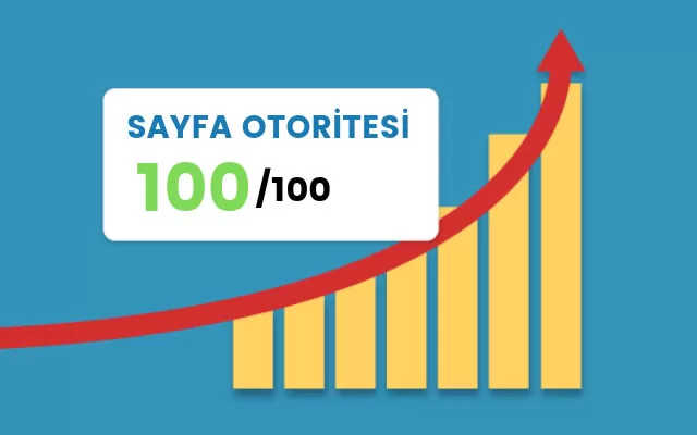 sayfa otoritesi