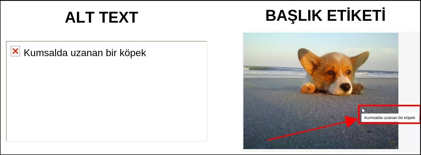 alt text_baslik_etiketi