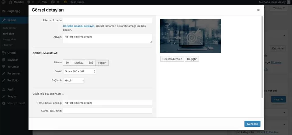 wordpress uzerinde alt text gosterimi