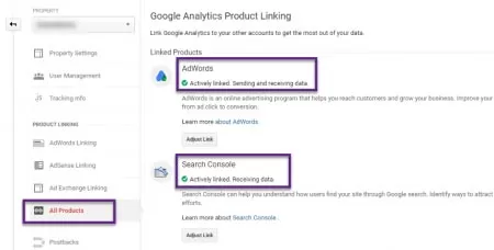 google analytics entegrasyonu