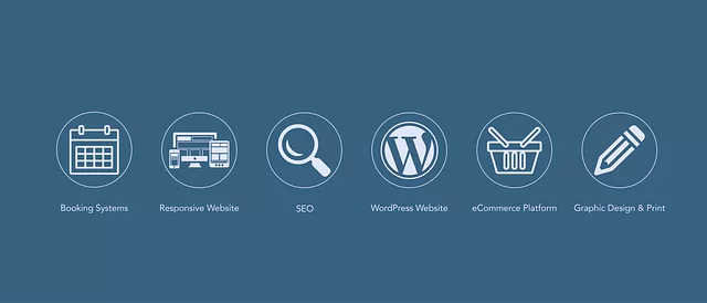 wordpress seo