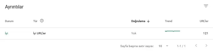search console page speed detay