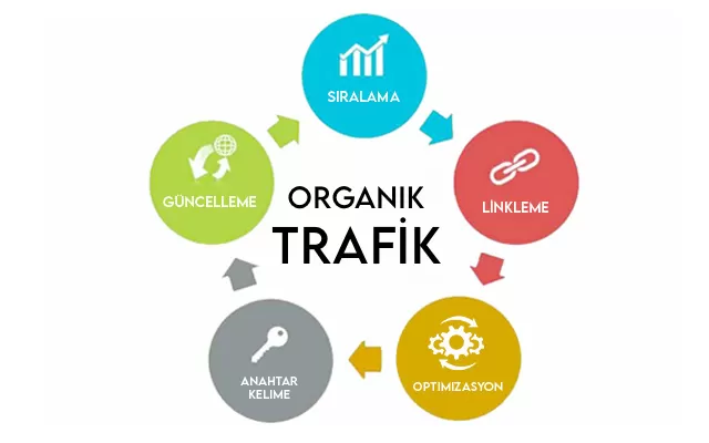 organik trafik blog gorsel