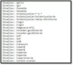 robots txt image