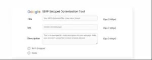 serp snippet optimization