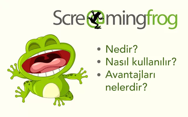 screaming frog