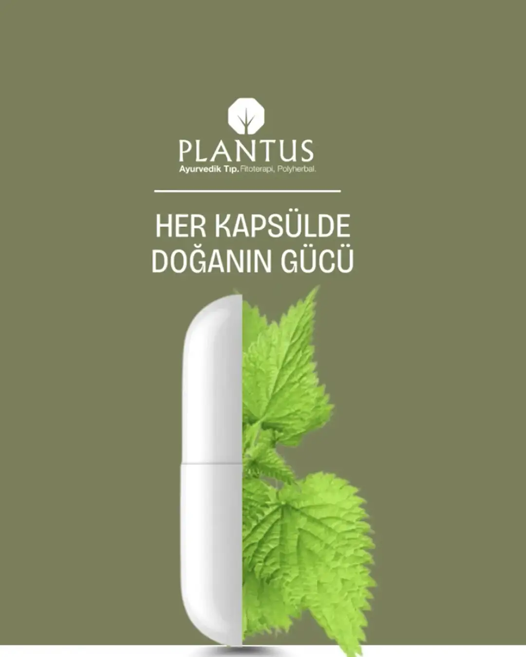 Plantus Her Kapsülde Doğanın Gücü