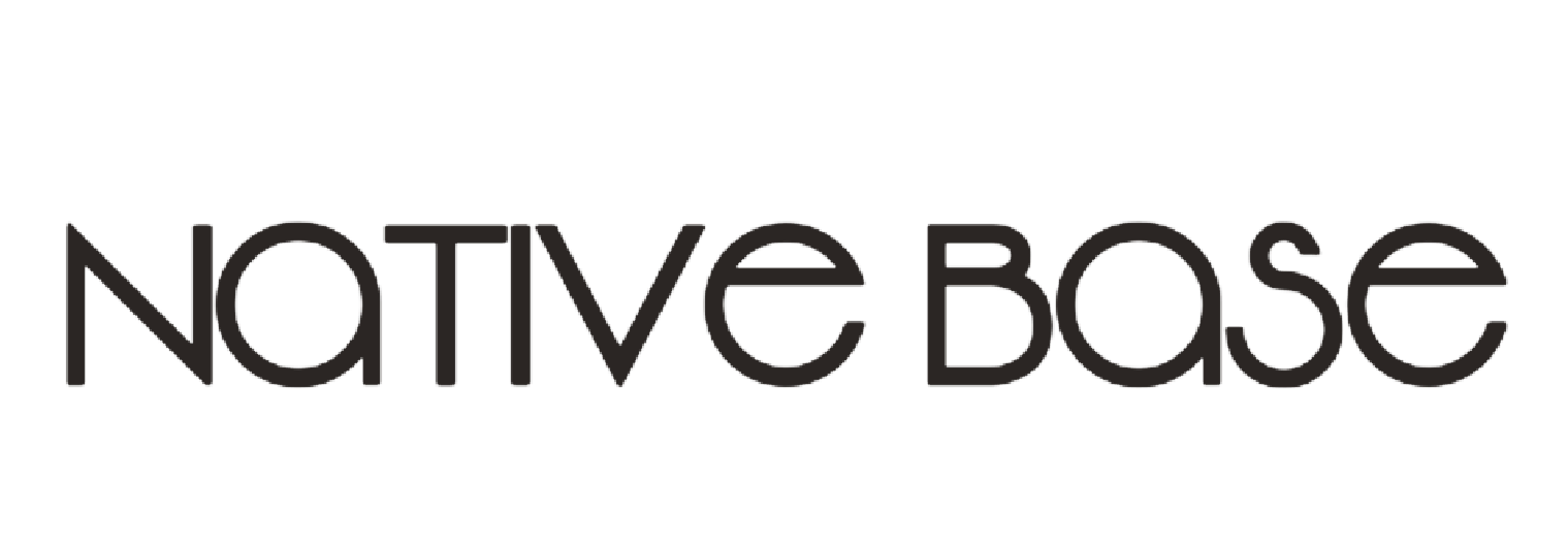 nativebase-logo 1