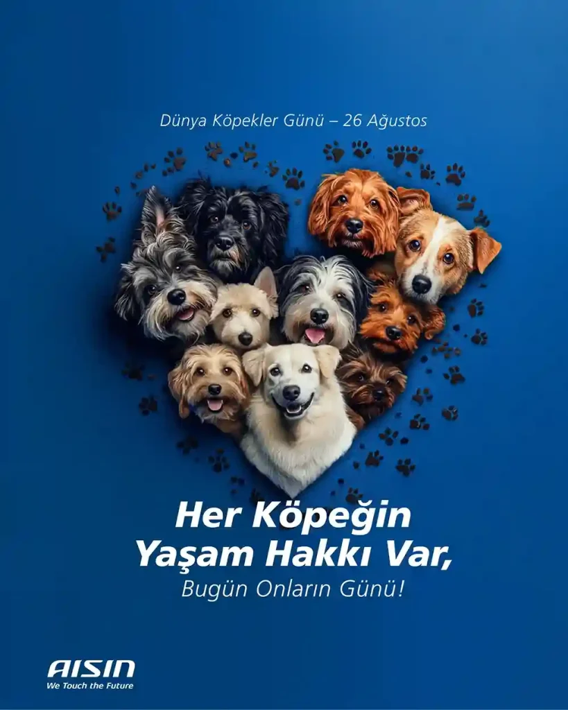 Aisin Her Kopegin Yasama Hakki Var.