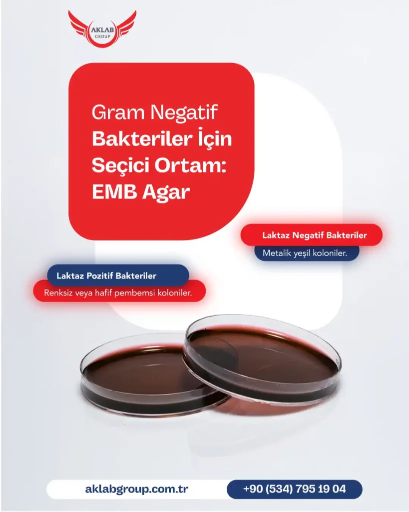 Aklab Bakteriler icin Secici Ortam
