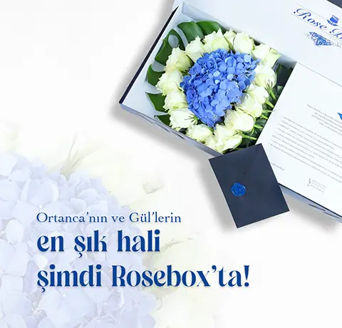 rosebox basari hikayemiz